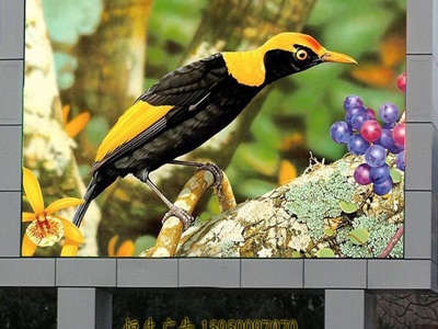 苏州户外P18全彩LED显示屏