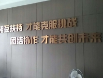 苏州企业背景墙 不锈钢字形象墙