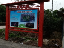 桃源镇宣传栏效果展示