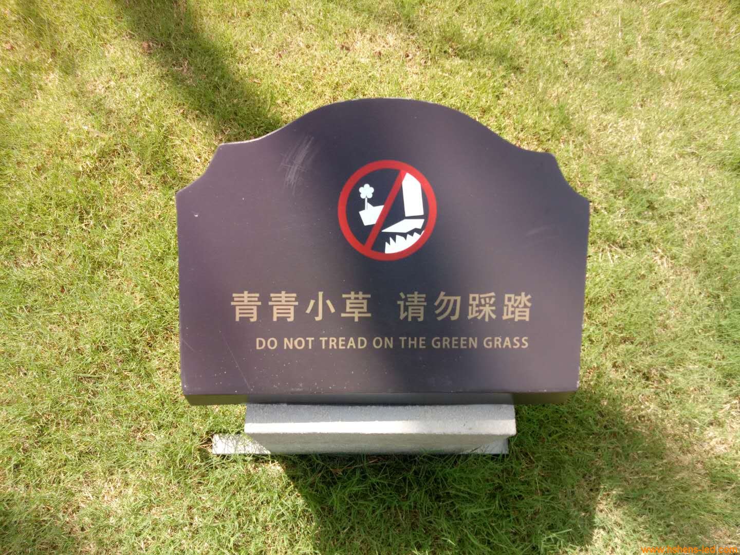 1589506505425692.jpg 1589506505425692.jpg