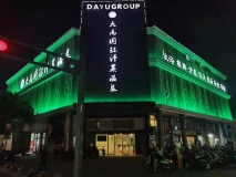 大禹国际外立面发光字夜晚效果